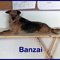 BANZAI