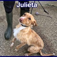JULIETA