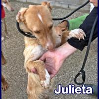 JULIETA