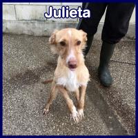 JULIETA
