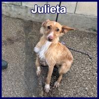 JULIETA