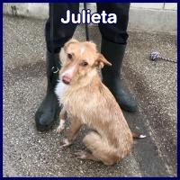JULIETA