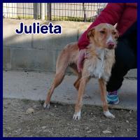 JULIETA