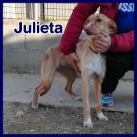 JULIETA