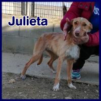 JULIETA