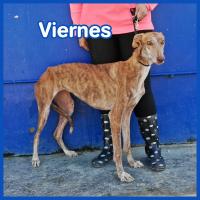 VIERNES