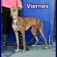 VIERNES