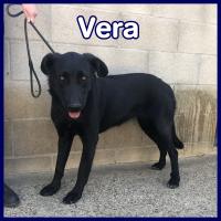 VERA