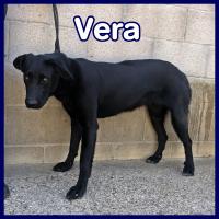VERA