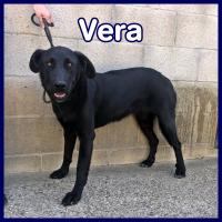 VERA