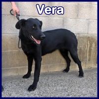 VERA