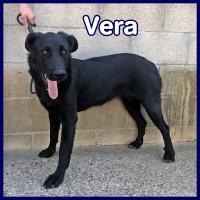 VERA