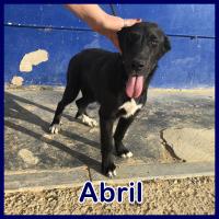 ABRIL