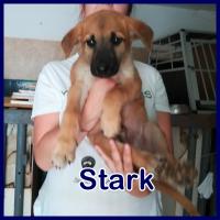 STARK