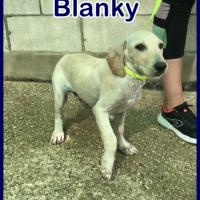 BLANKY