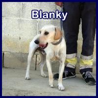 BLANKY