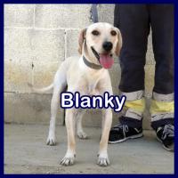 BLANKY