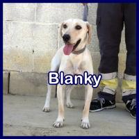 BLANKY