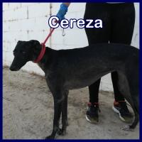 CEREZA