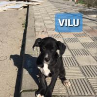 VILU