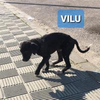 VILU