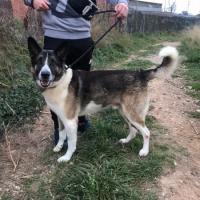 Foto de Golfo (5982)