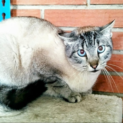Foto de Axel