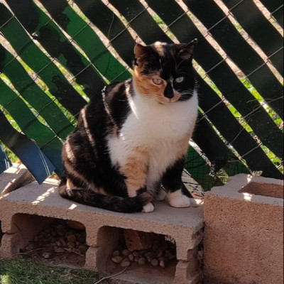 Valentina