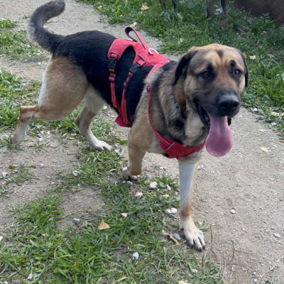 Romeo