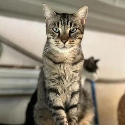 Coco