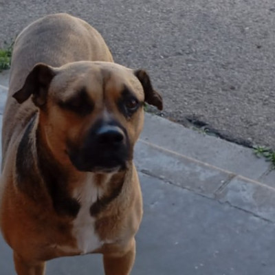 Tayson