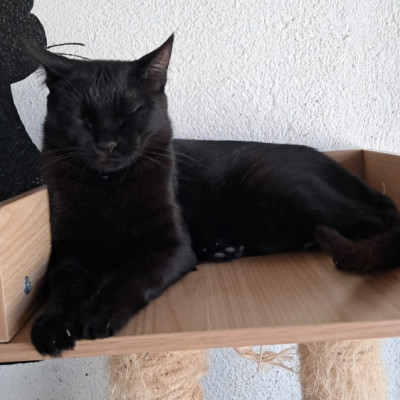Luna