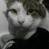 JERO