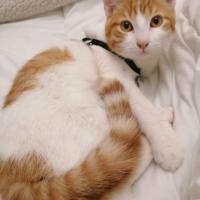 Foto de PANUKO