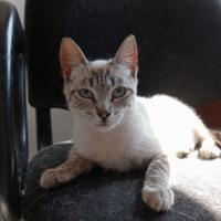 Foto de NINA