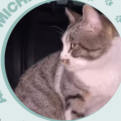 MICHÍN