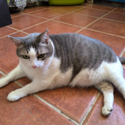 Pepa