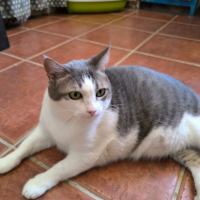 Pepa