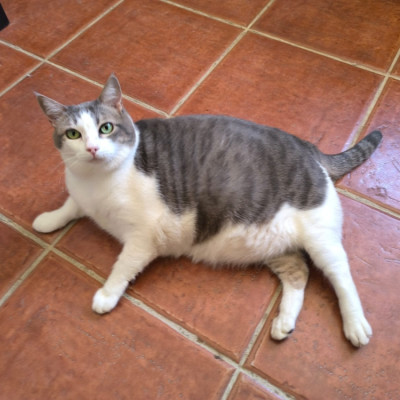 Pepa
