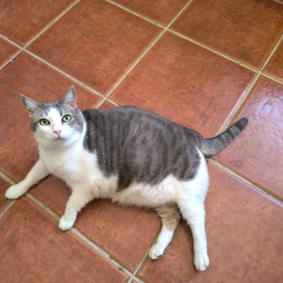 Pepa