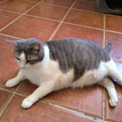 Pepa