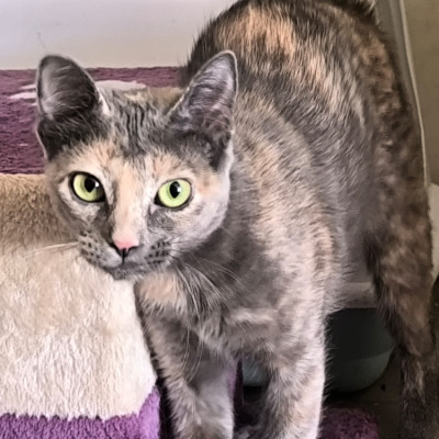 Barbara