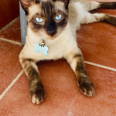 Max