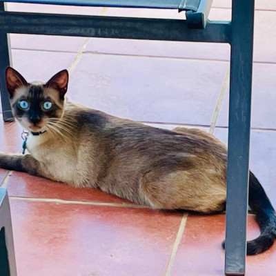 Max