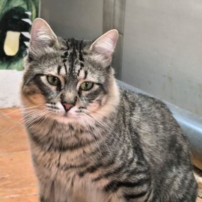 Kit