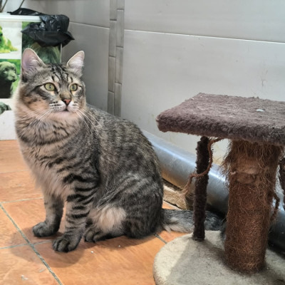 Kit