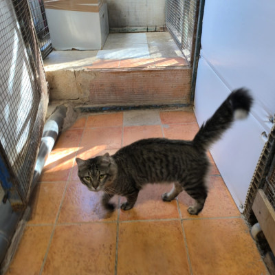 Kit