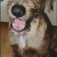 OSITO