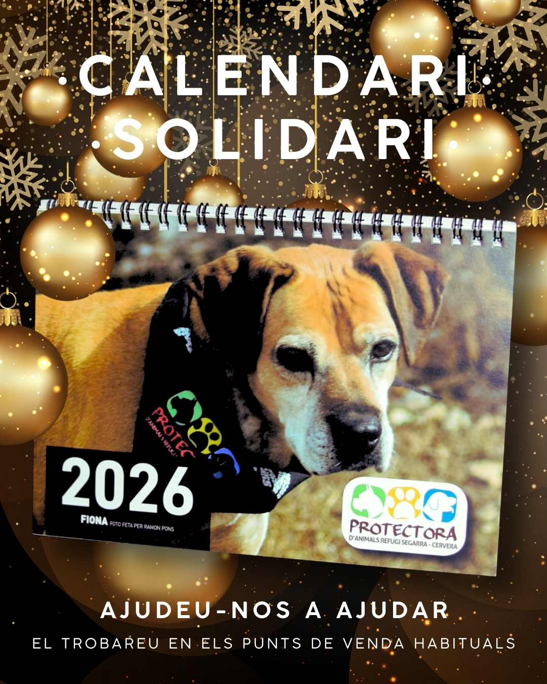 Loteria de Nadal 2024