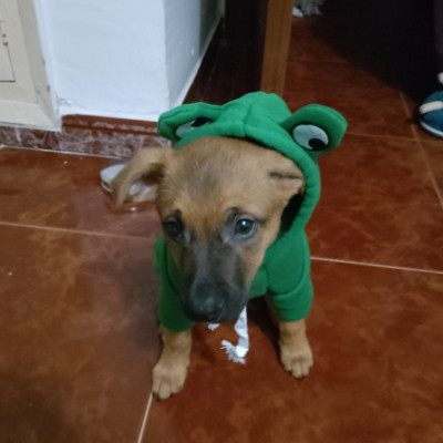 Burbuja